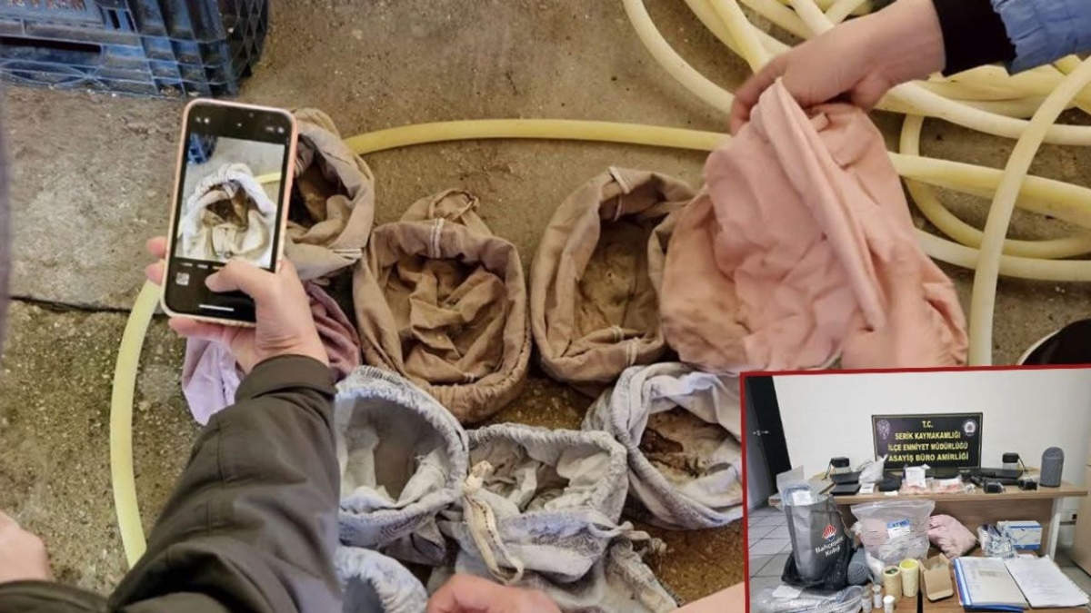 Kuş halkalama istasyonunda izinsiz biyolojik örnek topladılar