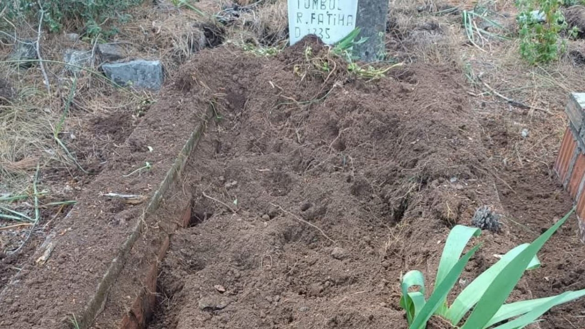 Antalya’da yaban domuzları mezarlığa zarar verdi: Mahalle sakinlerinden önlem talebi