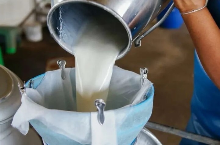 Türkiye’de Süt Üretiminde Artış: Mart Ayında 1 Milyon 15 Bin Ton Toplandı








