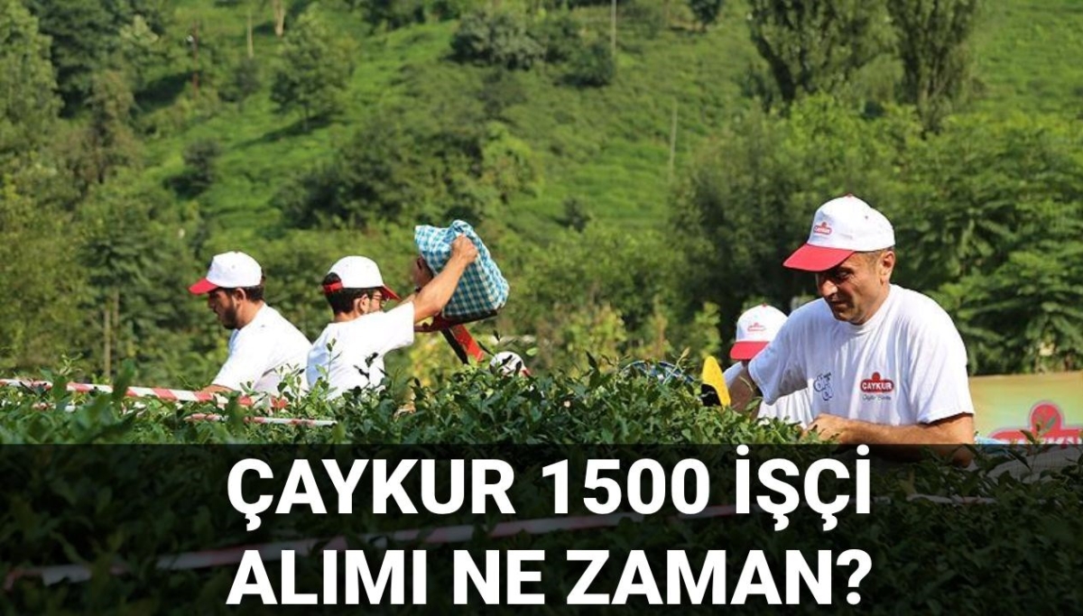 ÇAYKUR işçi alımı kura çekimi ne zaman? ÇAYKUR nihai liste için gözler kura takviminde