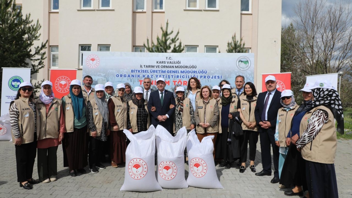Kars'ta Organik Kaz Yetiştiriciliği Projesi başlatıldı