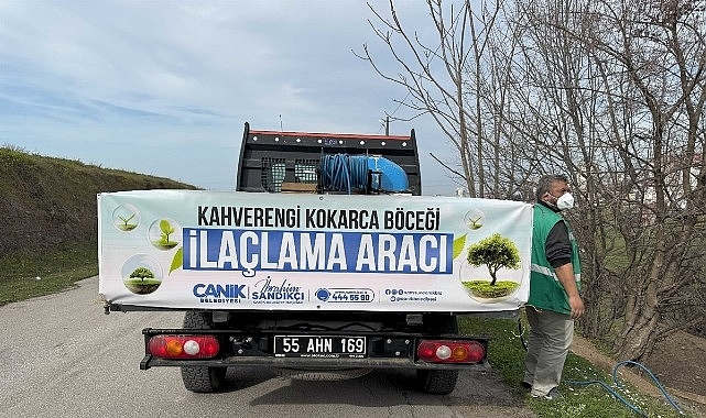 Canik'te Kokarca Böceğine Karşı Mücadelede Atak 