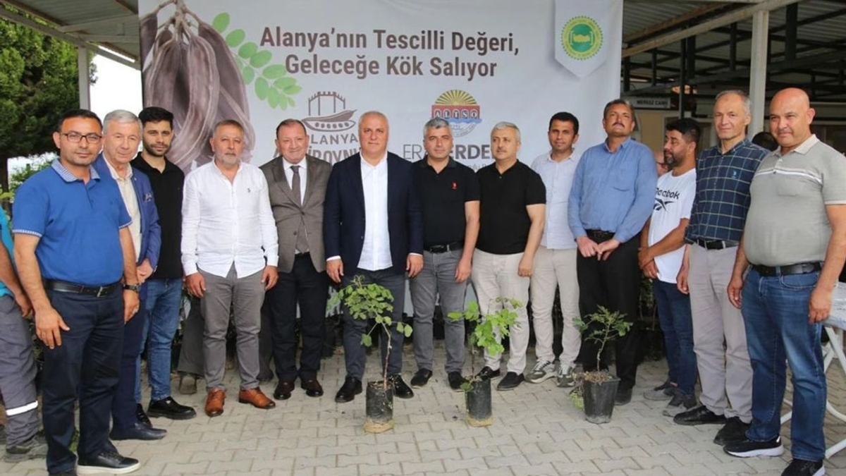 ALTSO keçiboynuzunun tescilini aldı, 3 bin fidan dağıttı
