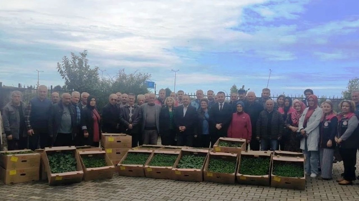 Trabzon'da fidan dağıtım etkinliği gerçekleştirildi