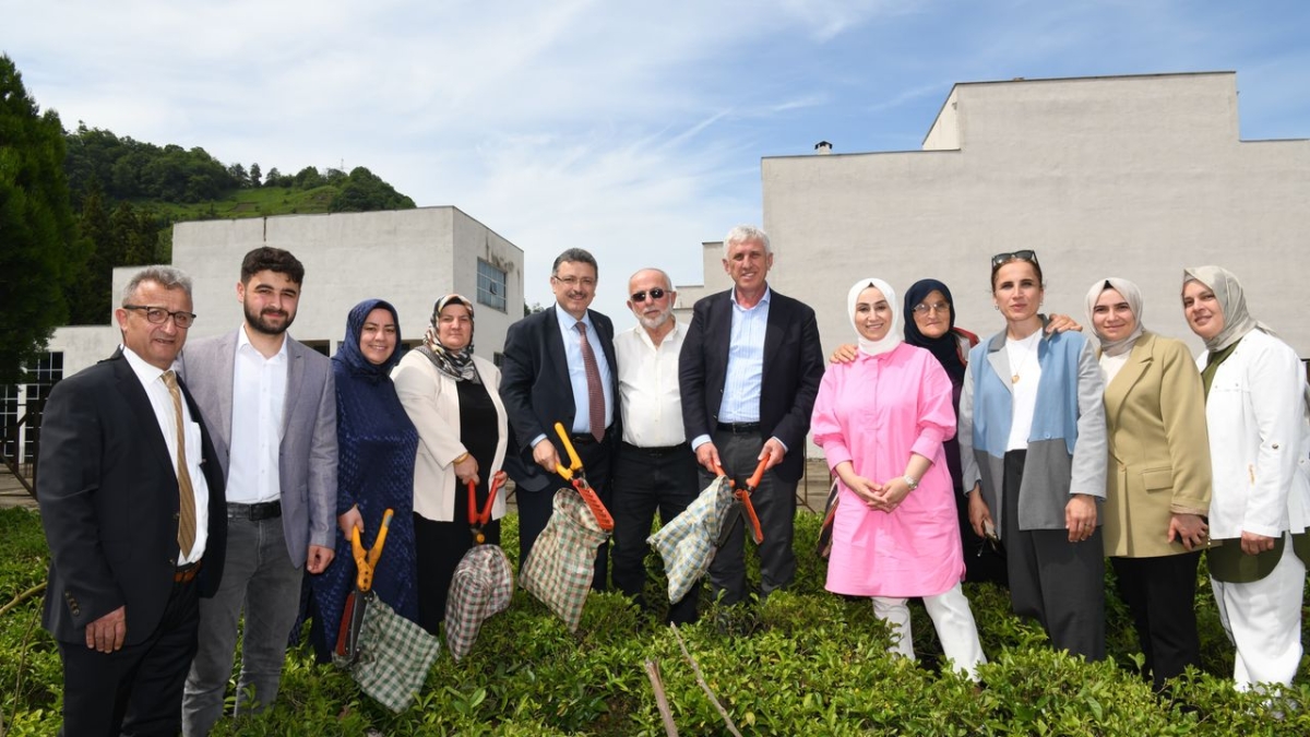 Başkan Genç: Ortahisar'da yeni bir çay fabrikası kuracağız