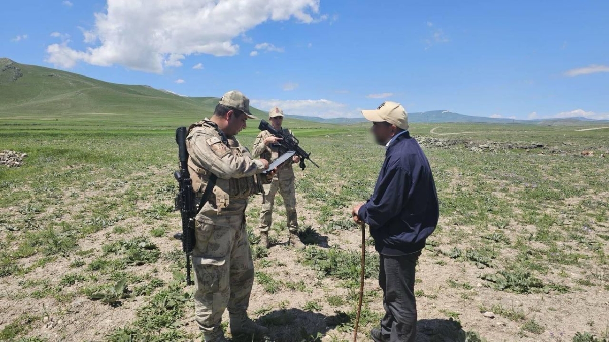 Kars'ta huzur ve güven uygulamasında 480 kök kenevir ele geçirildi