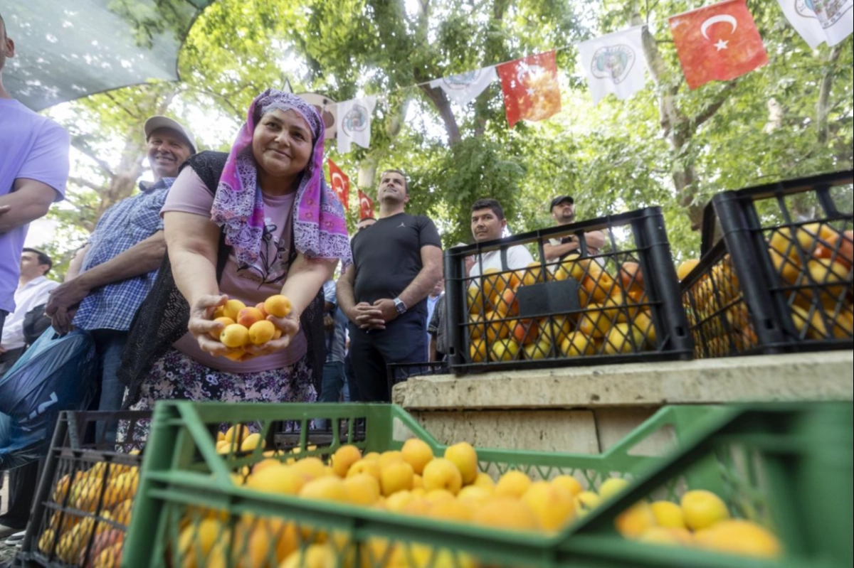Kayısı Festivali'nde büyük coşku