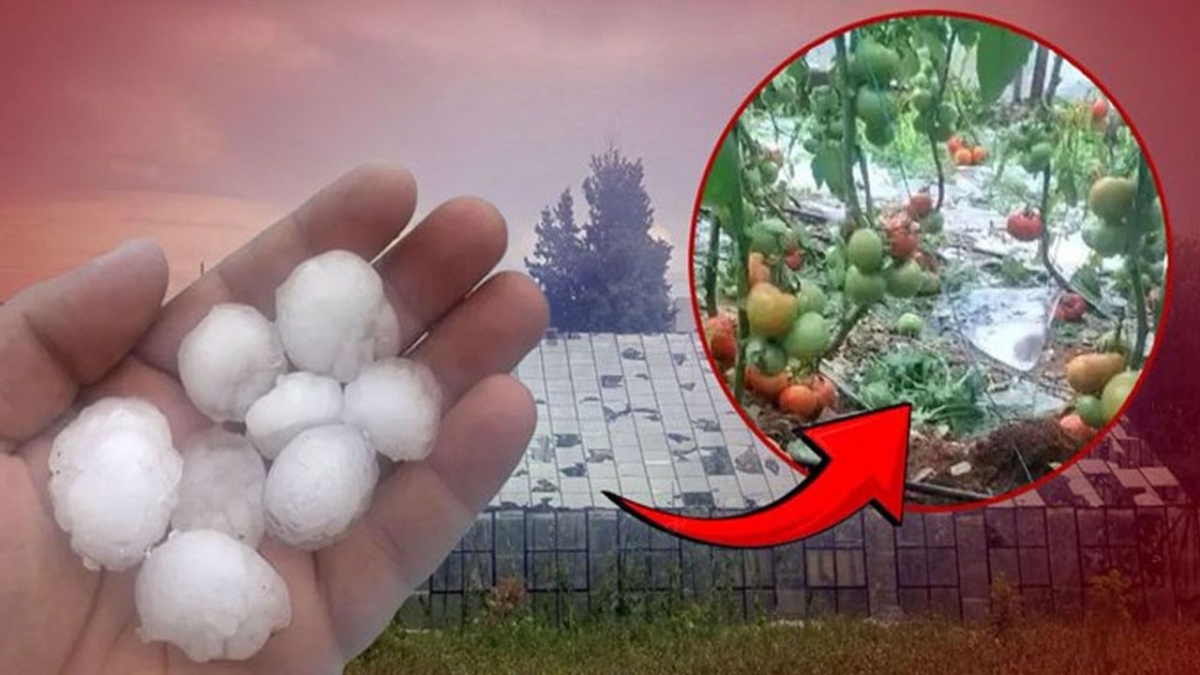 Antalya'da ceviz büyüklüğünde dolu tarım alanlarını vurdu