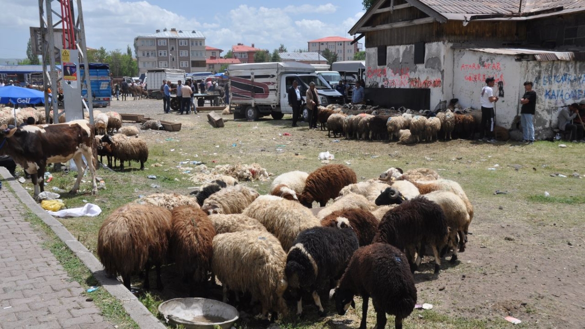 Kars’ta Kurban Bayramı yoğunluğu: Çarşı, pazar ve trafikte hareketlilik arttı
