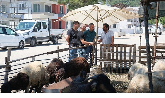 Kurban satış alanlarında denetim 