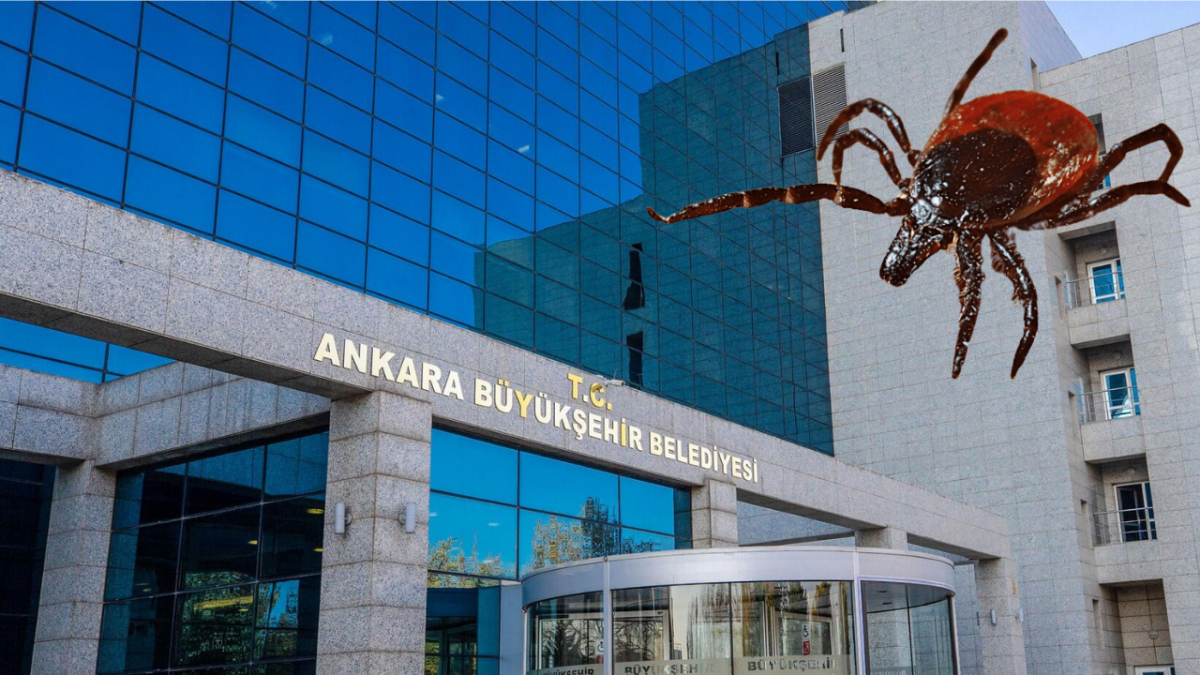 Ankara Büyükşehir’den kene uyarısı: Yeşil alanlara gidenler dikkat!