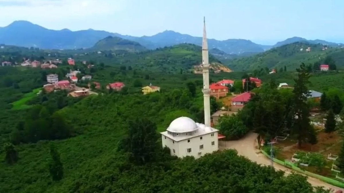 Tirebolu'da tarihi referandum: Abdullu Köyü kuruluyor!