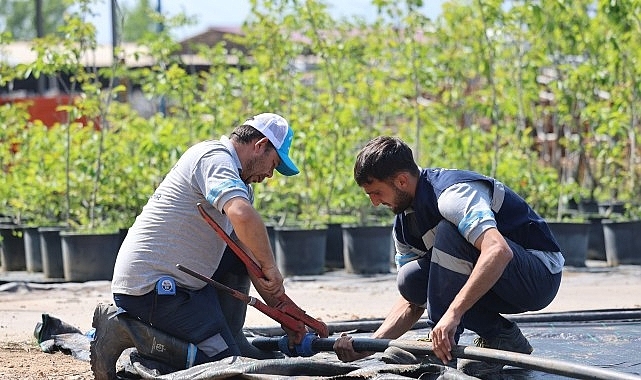 Büyükşehir'in fidanlığı Kocaeli'ni yeşillendiriyor