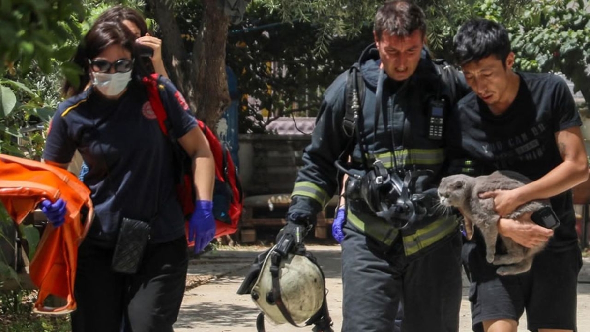 Yangında mahsur kaldığı evde kedisini bir an olsun bırakmadı