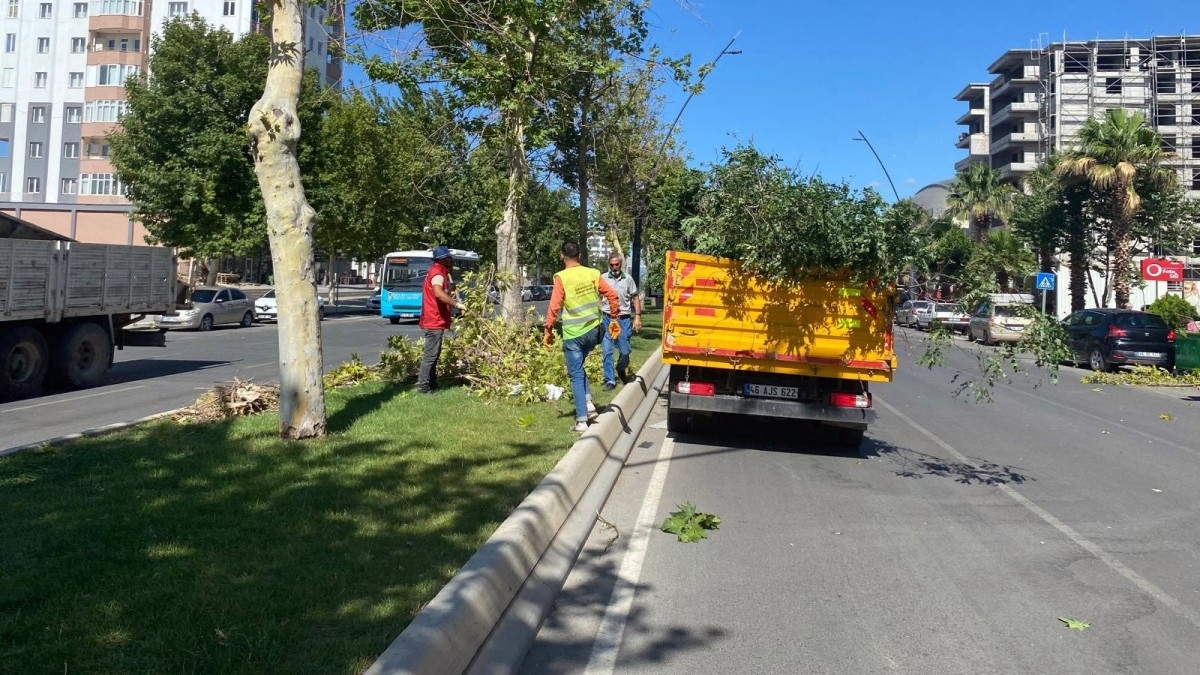 Büyükşehir, Fırtına Sonrası Yaraları Sarıyor