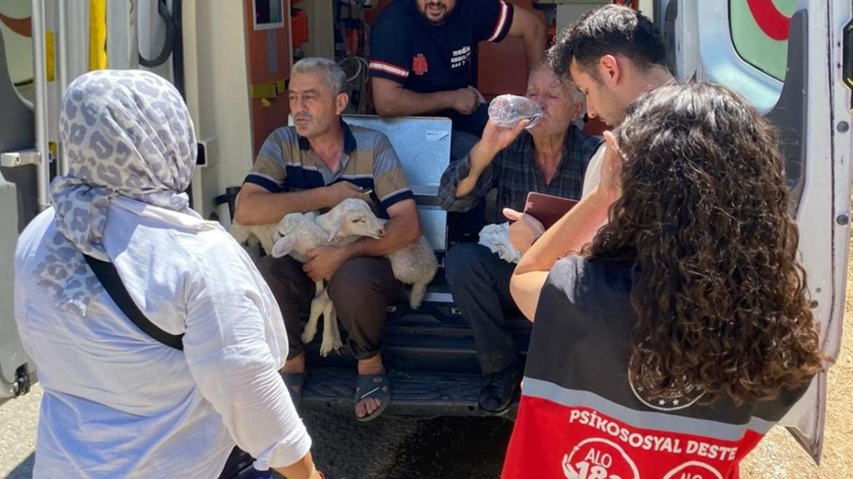 Yangın bölgesindeki hanelere 12 milyon yardım