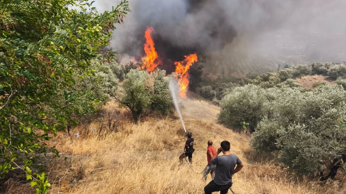 Hatay'da çıkan orman yangını kontrol altına alındı