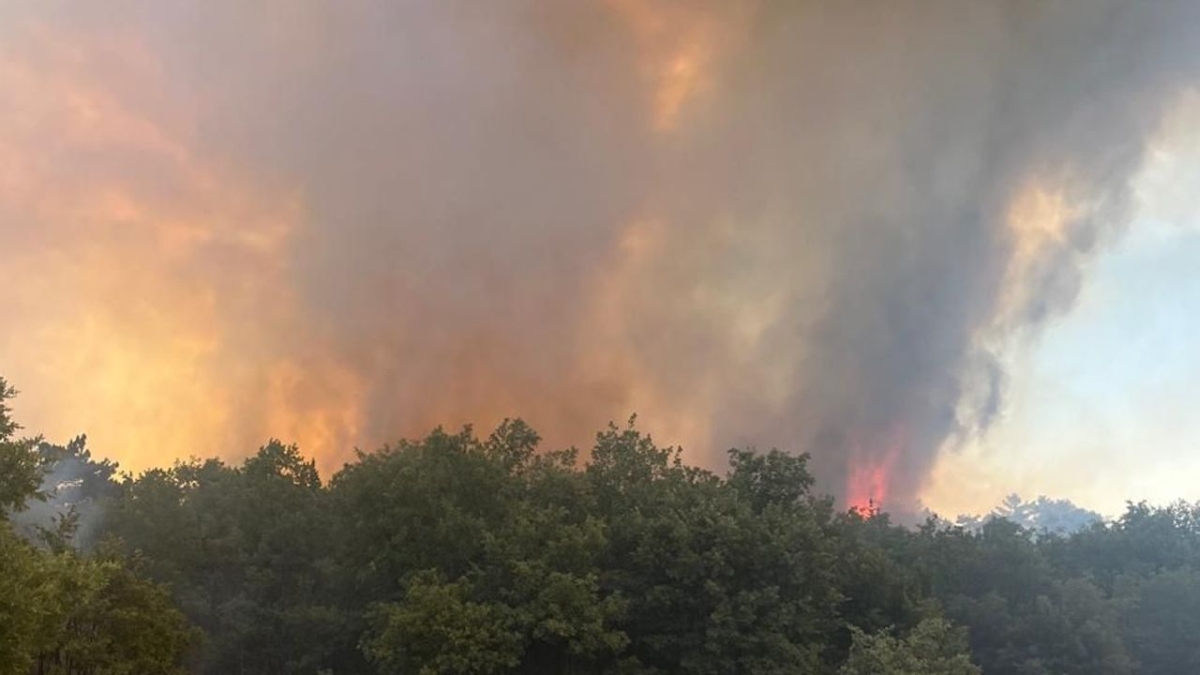 Çanakkale Ezine'deki orman yangını kontrol altına alındı