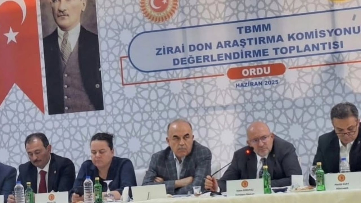 Zirai Don; Fındık 'ta Kayıp Büyük