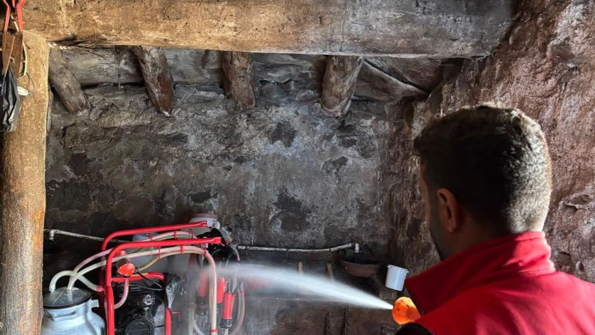 Susuz'da şap hastalığına karşı aşılama ve dezenfekte çalışmaları devam ediyor