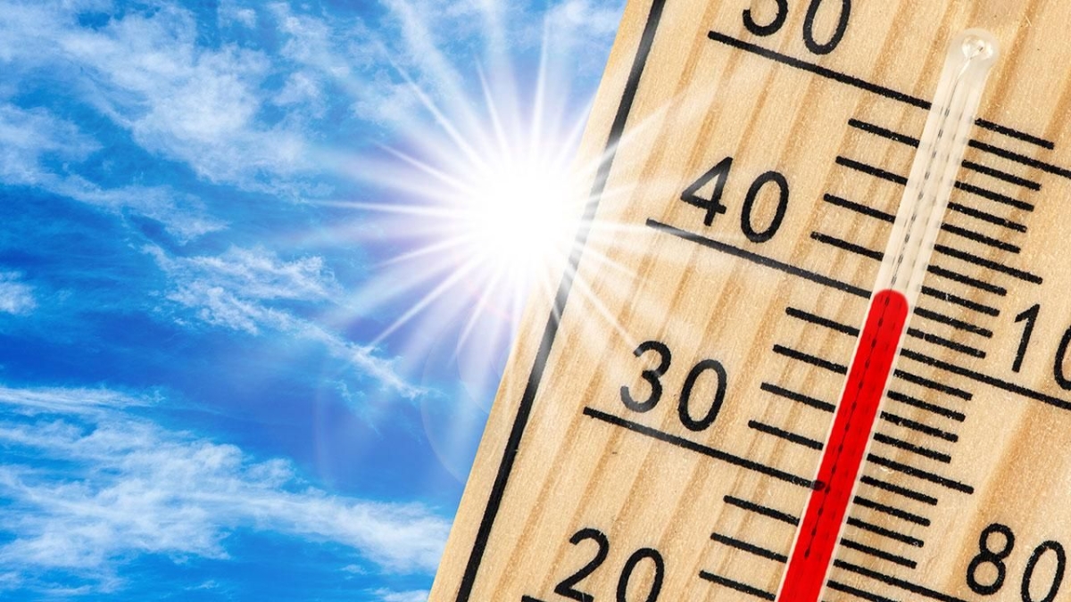 Orman yangınlarıyla mücadele için “Risk Yönetim Ekibi” kuruldu