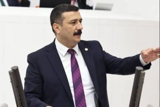 Bursa’nın “doğa incisi Longoz” neden kaderine terk edildi?