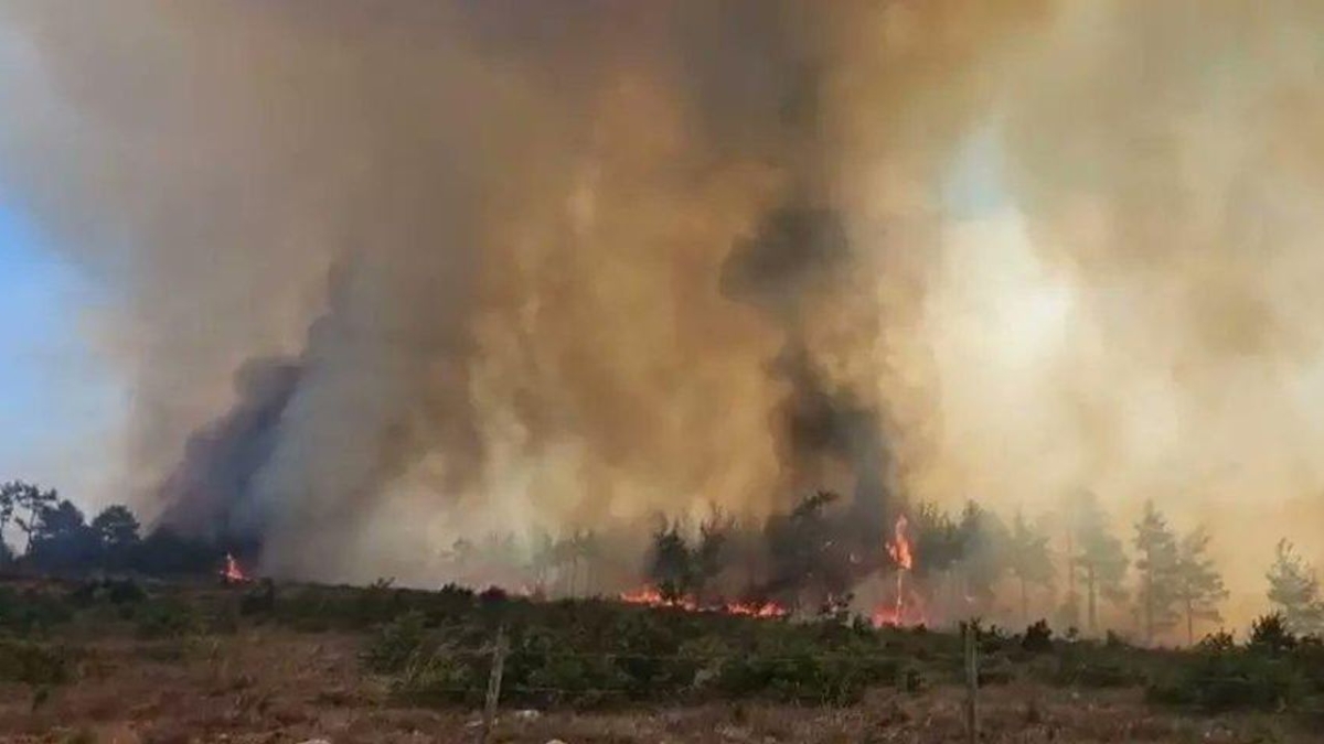 Akdeniz yanıyor: Mersin, Osmaniye ve Hatay’da orman yangınlarıyla mücadele