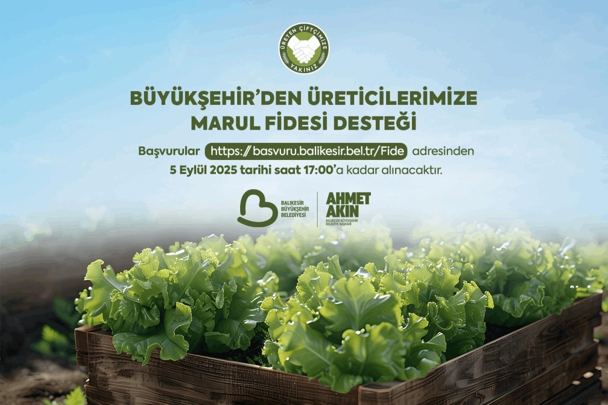 Büyükşehir’den Çiftçilere Marul Fidesi Desteği Sağlandı
