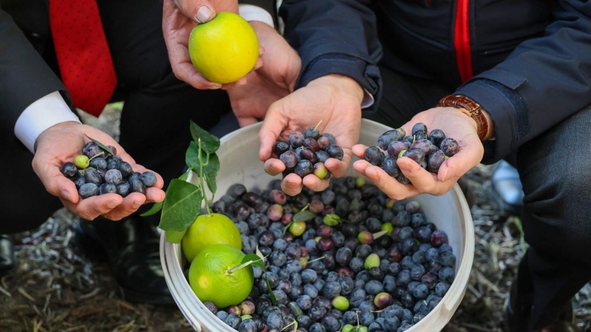 Artvin'de lezzet ödüllü 