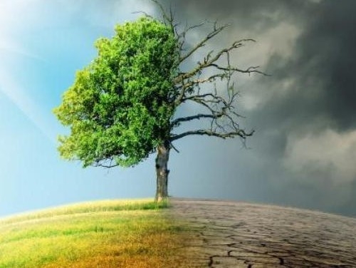 İklim Değişikliğinin Türkiye’de Göç ve Yerinde Kalma Üzerindeki Etkileri