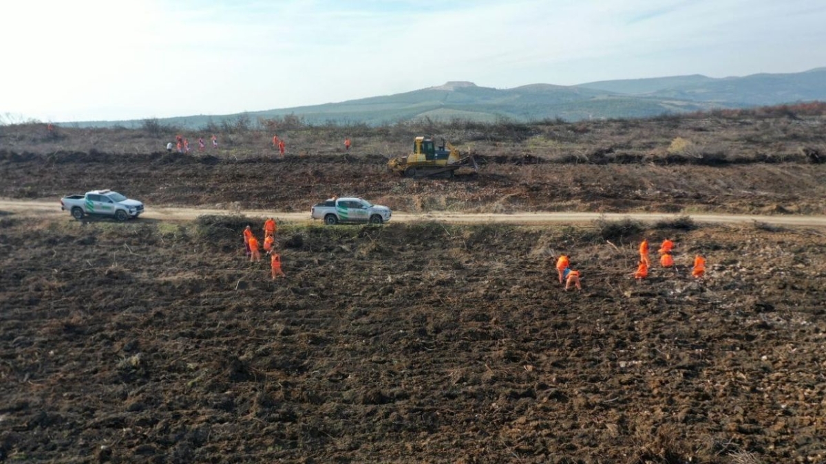 “Alev savaşçıları” bu kez yangın alanları yeniden yeşillendiriliyor