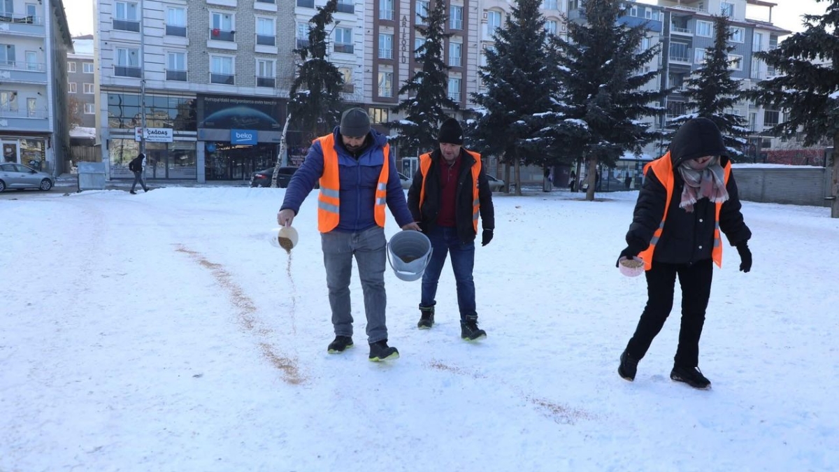 Kars Belediyesi’nden şefkat eli: Kanatlı dostlar unutulmadı