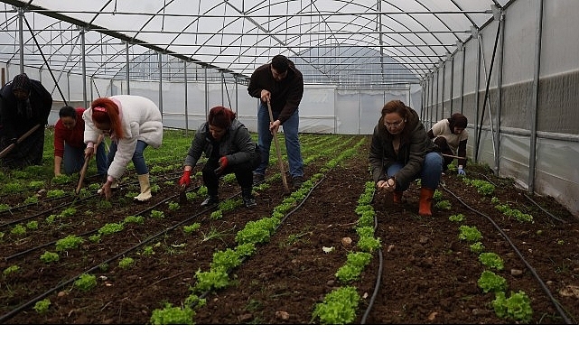 Kadın ve gençler, Büyükşehir’le tarıma kazandırılıyor
