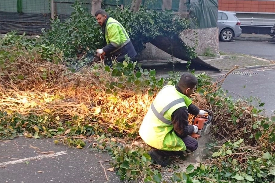İstanbul Bakırköy fırtına ve yağışa karşı teyakkuzda!