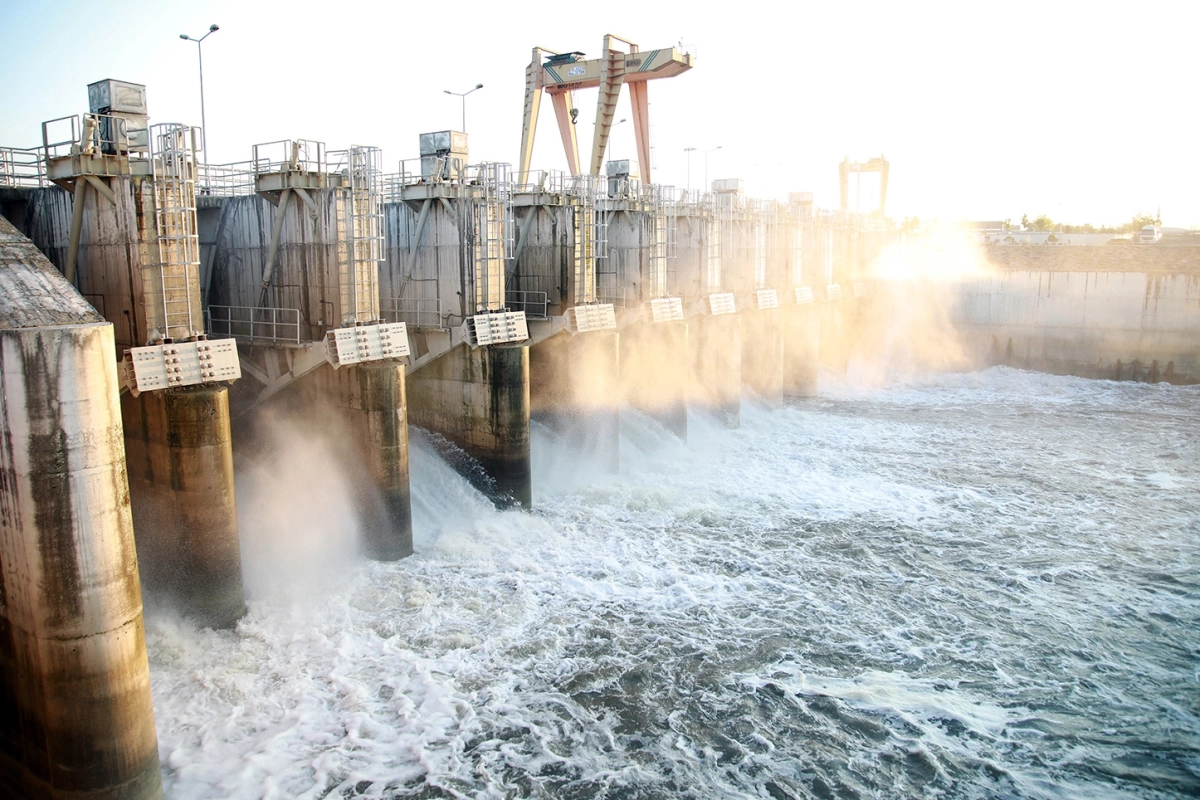 Sakarya'da 716 bin ağaç dikimine eş değer üretim... SASKİ'den 2025'te çifte rekor