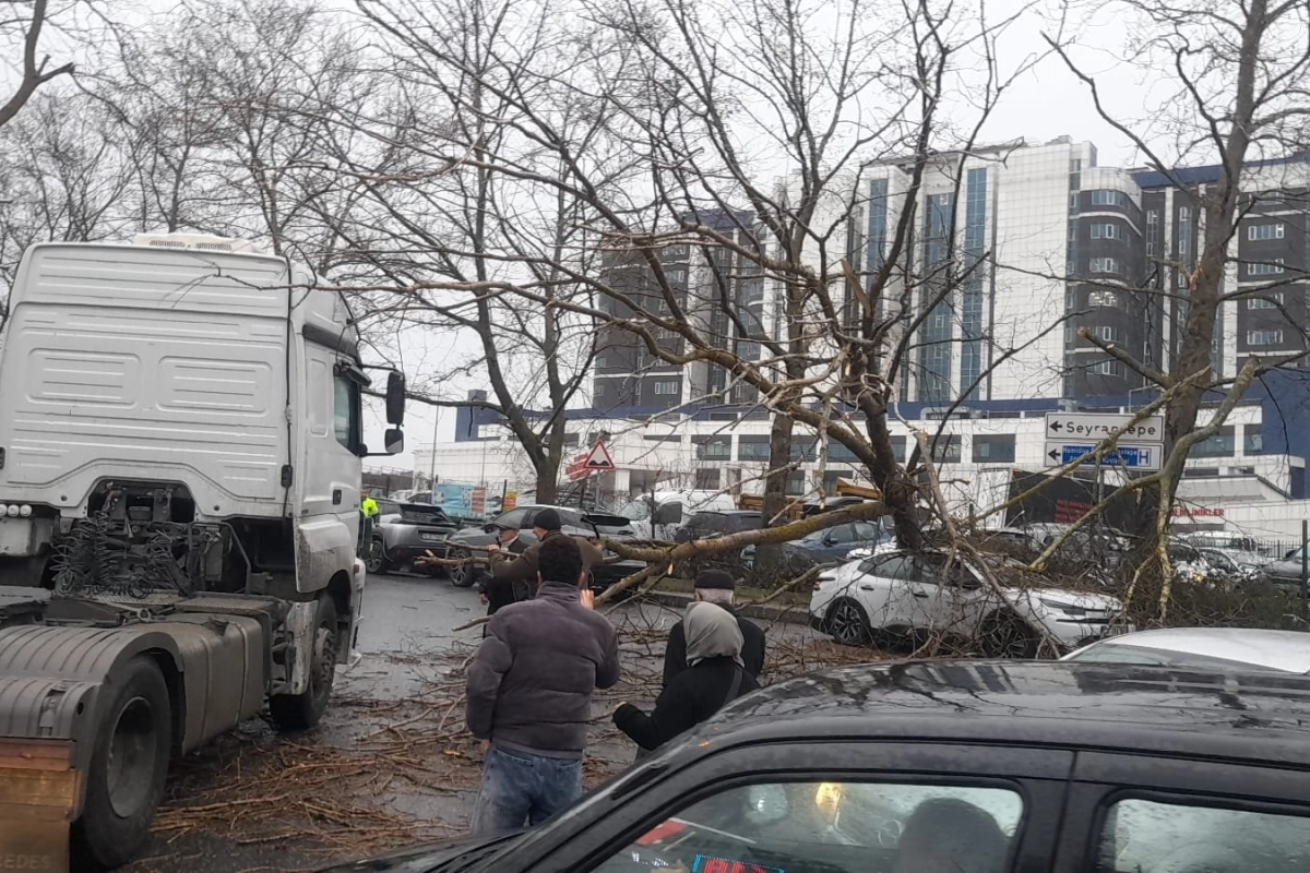 İstanbul'da fırtına: Ağaç devrildi, sahil yolları kapandı!