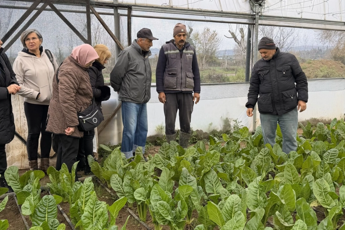 Kocaeli’de 65 yaş üstü bireyler tarımsal üretime katıldı