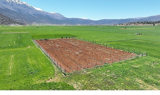 Büyükşehir Belediyesi’nden tarımsal sulamaya büyük destek 