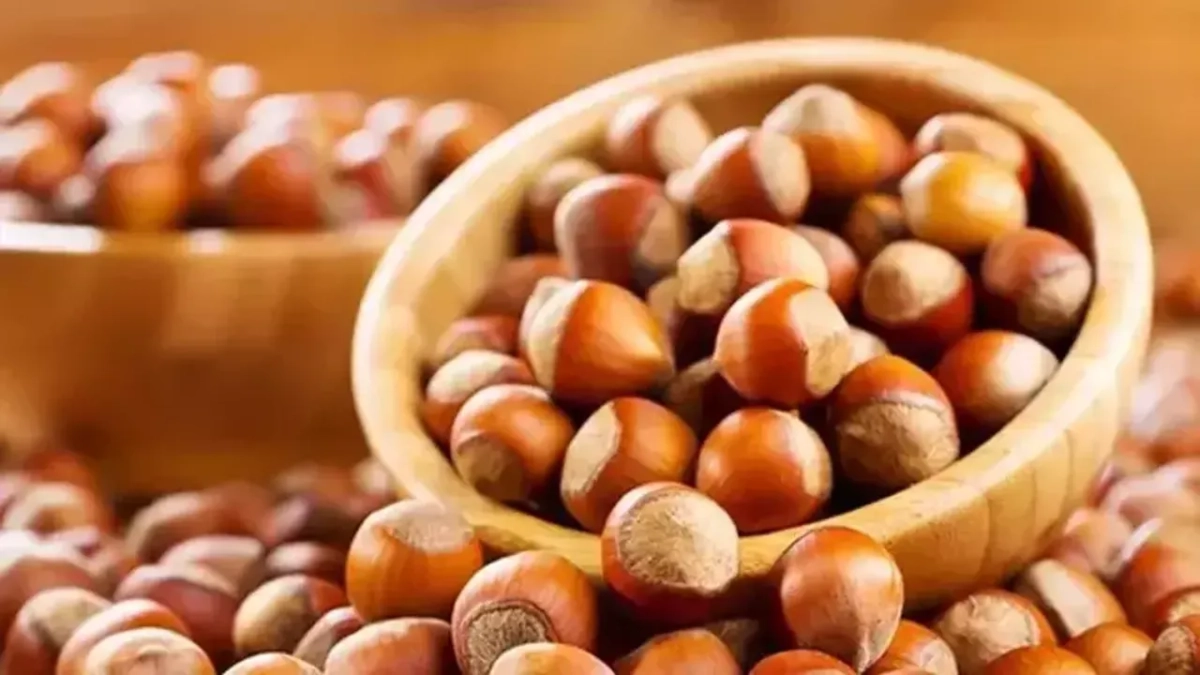 Fındık fiyatları yeni yıl İle yükselmeye başladı