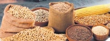 Tarımda Üretici Fiyatları Yıl Sonunda da Artış Gösterdi