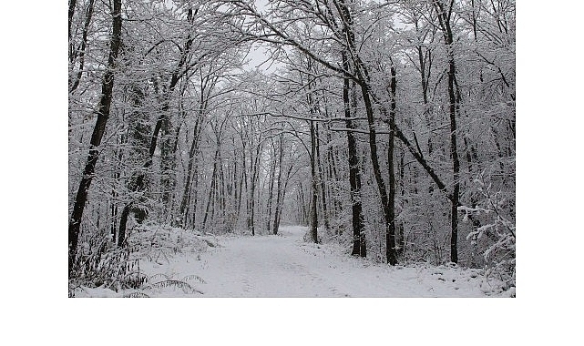 Ormanya’da kartpostallık kış manzaraları