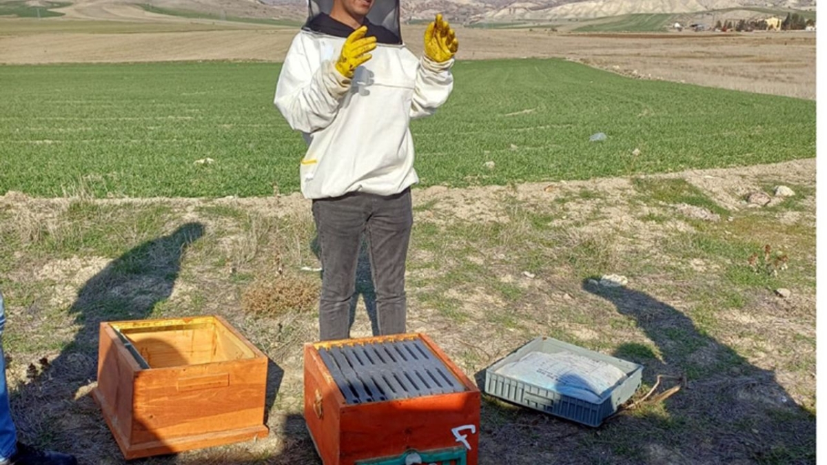 Halk Eğitim Merkezi Müdürlüğünden uygulamalı arıcılık kursu