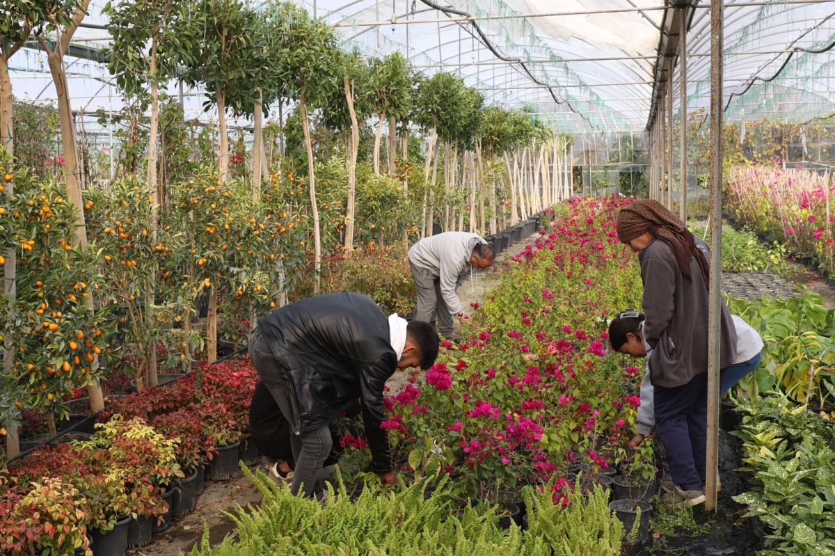 Muğla'dan yerel kalkınmaya 'Büyük' katkı