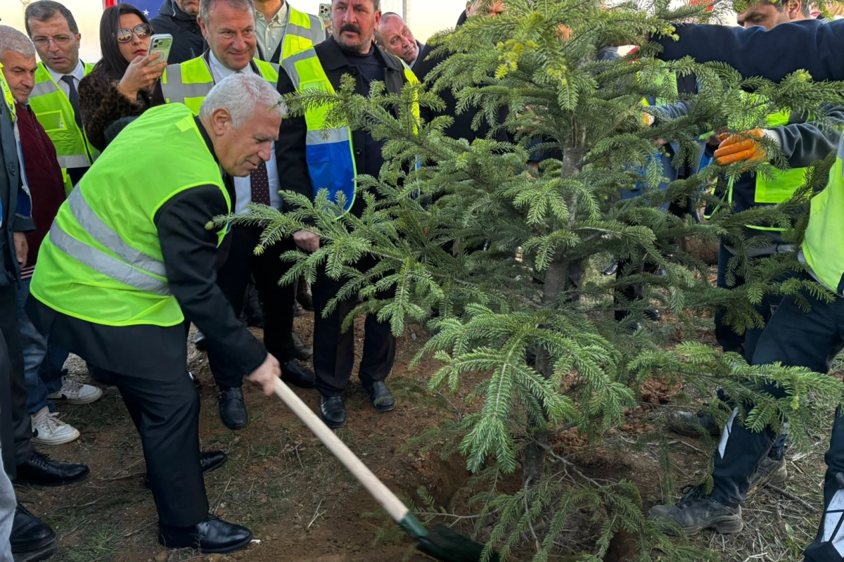 Bursa Büyükşehir'den 15 bin fidanlı 'Hatıra Ormanı'