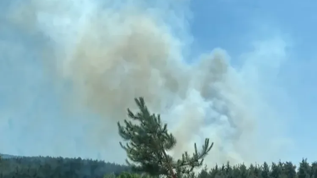 Denizli’de filtre fabrikasında yangın