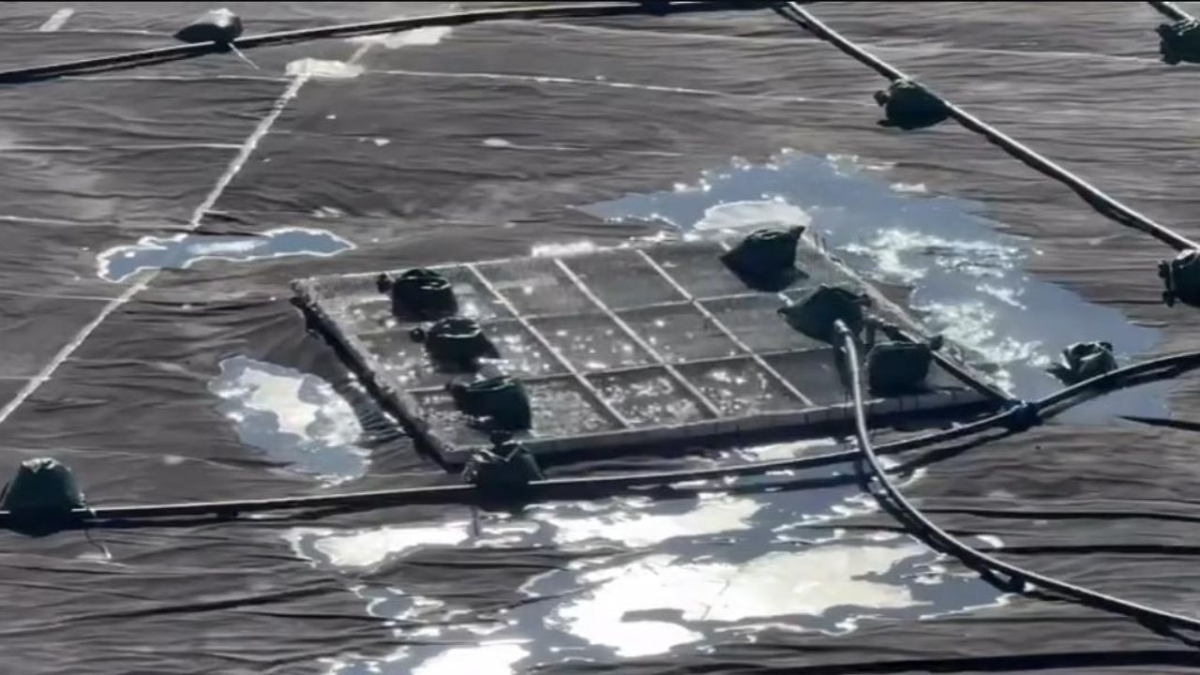 Sarıkamış suni karlama projesinde gölet dolumu başladı