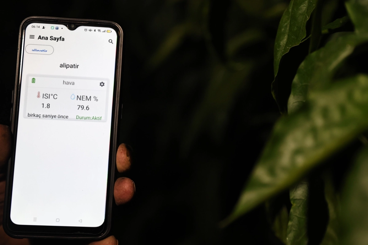 Antalya’da sera üreticisinin don nöbeti tarih oldu
