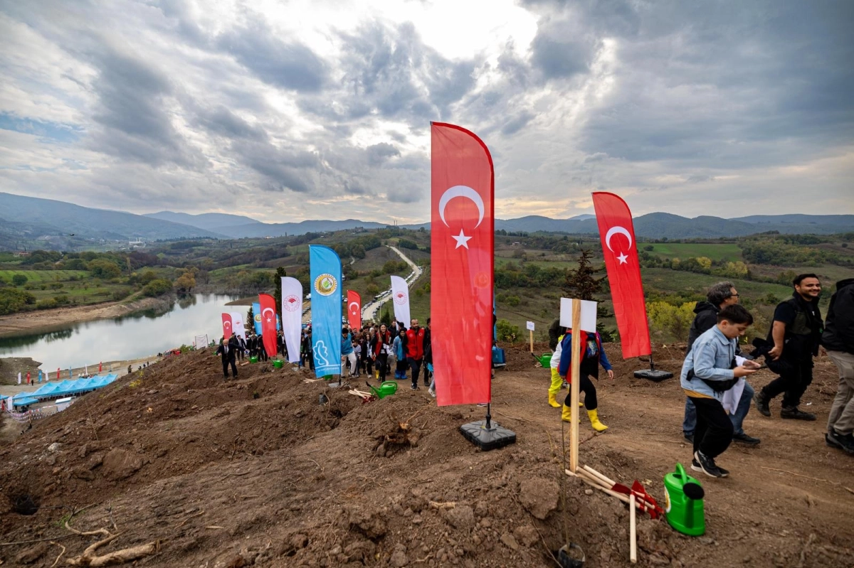 Karamürsel’de yanan bölge 3 bin fidanla yeşerecek