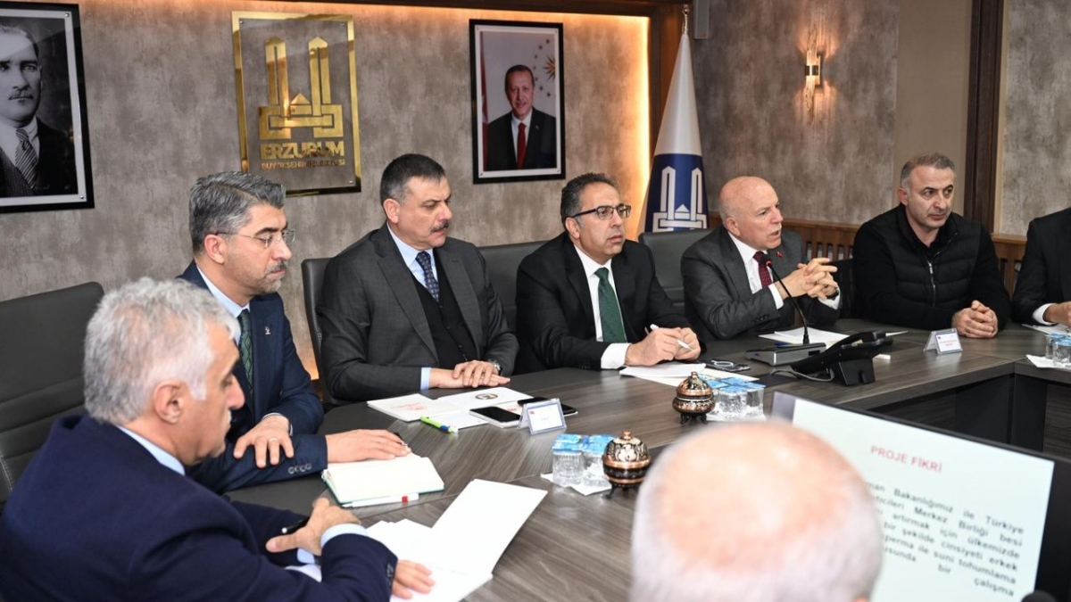 Kırmızı et üretimini artıracak pilot proje Erzurum’da başlıyor