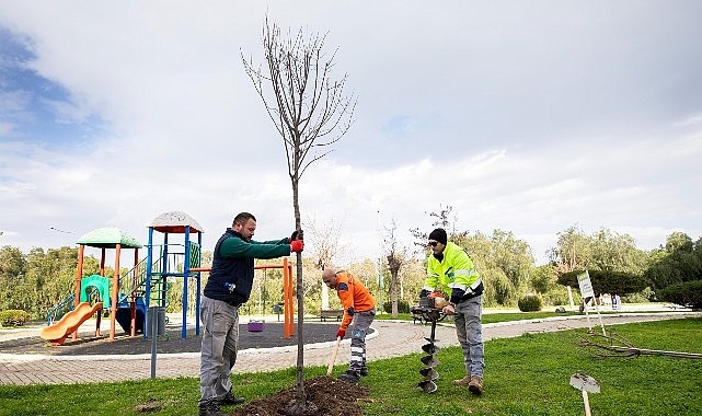 Narlıdere, Peyzaj Çalışmalarıyla Güzelleşiyor